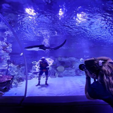 ‘Much more than Laughter’